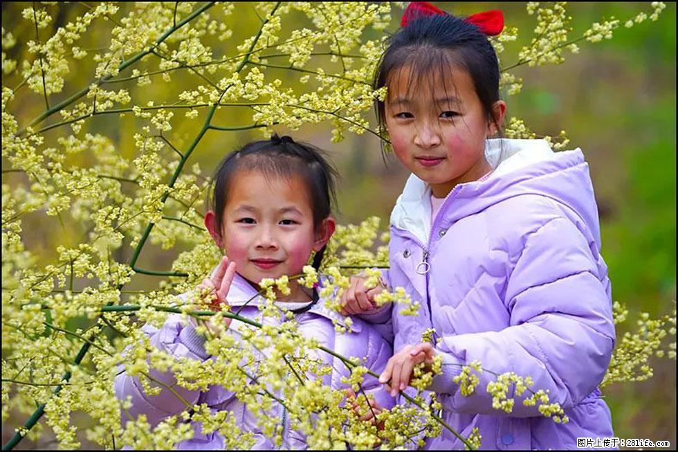 【春天，广西桂林灌阳县向您发出邀请！】米珠山前有片山苍子花在飘香 - 游山玩水 - 咸宁生活社区 - 咸宁28生活网 xianning.28life.net