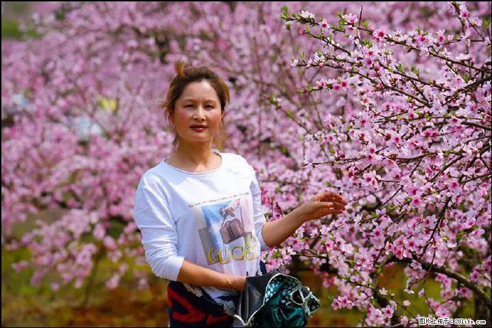 【春天,广西桂林灌阳县向您发出邀请!】官庄村有个醉美的桃花园 - 游山玩水 - 咸宁生活社区 - 咸宁28生活网 xianning.28life.net