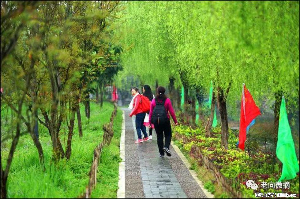 【春天，广西桂林灌阳县向您发出邀请！】江口老街又逢春 - 游山玩水 - 咸宁生活社区 - 咸宁28生活网 xianning.28life.net