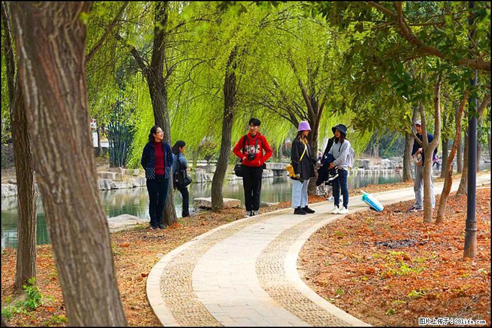 【春天，广西桂林灌阳县向您发出邀请！】江口老街又逢春 - 游山玩水 - 咸宁生活社区 - 咸宁28生活网 xianning.28life.net