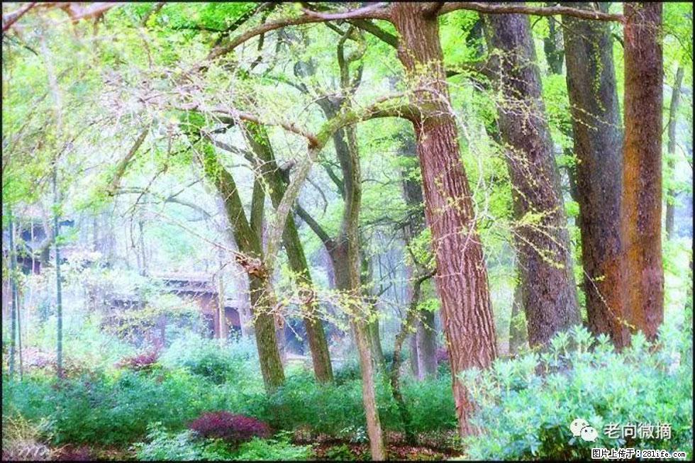 【春天，广西桂林灌阳县向您发出邀请！】在小龙村与春天约会 - 游山玩水 - 咸宁生活社区 - 咸宁28生活网 xianning.28life.net