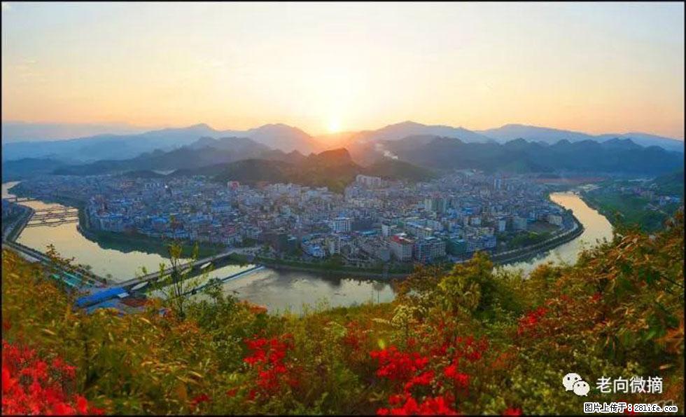 【春天，广西桂林灌阳县向您发出邀请！】登麒麟山，相约映山红 - 游山玩水 - 咸宁生活社区 - 咸宁28生活网 xianning.28life.net