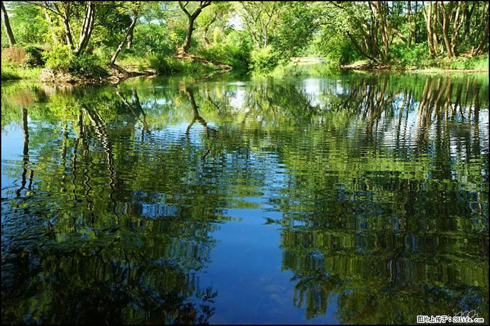 【春天,广西桂林灌阳县向您发出邀请!】熊家寨湿地公园 - 游山玩水 - 咸宁生活社区 - 咸宁28生活网 xianning.28life.net