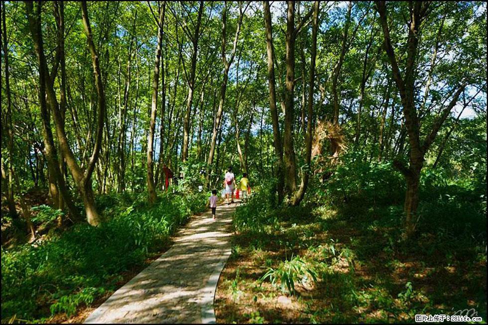 【春天,广西桂林灌阳县向您发出邀请!】熊家寨湿地公园 - 游山玩水 - 咸宁生活社区 - 咸宁28生活网 xianning.28life.net