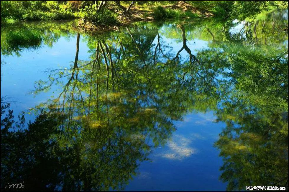 【春天,广西桂林灌阳县向您发出邀请!】熊家寨湿地公园 - 游山玩水 - 咸宁生活社区 - 咸宁28生活网 xianning.28life.net