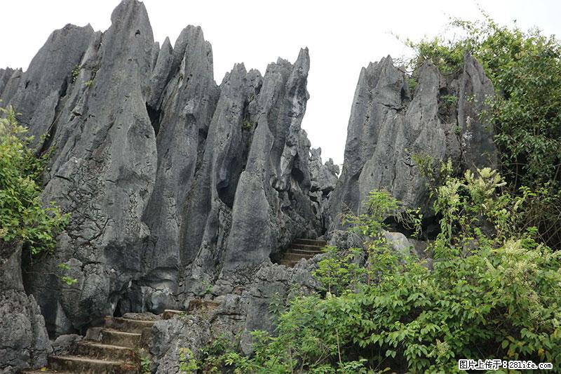 桂林旅游名城景点：灌阳文市石林 - 游山玩水 - 咸宁生活社区 - 咸宁28生活网 xianning.28life.net