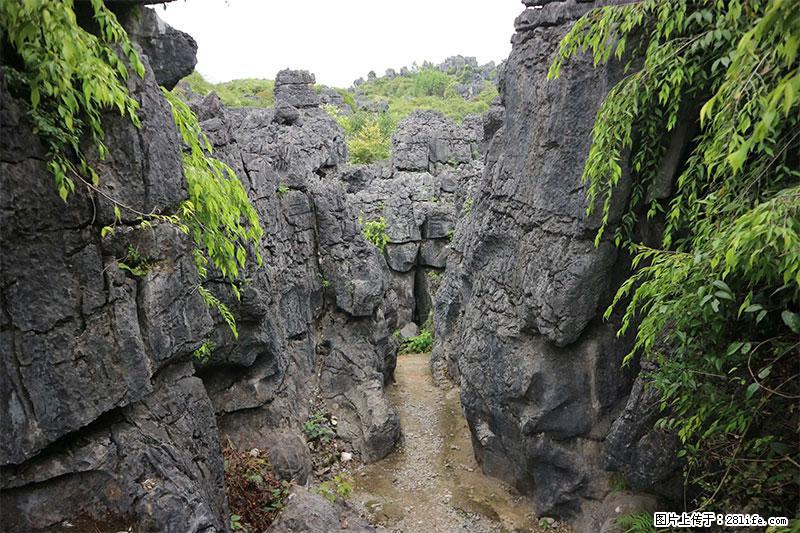 桂林旅游名城景点：灌阳文市石林 - 游山玩水 - 咸宁生活社区 - 咸宁28生活网 xianning.28life.net