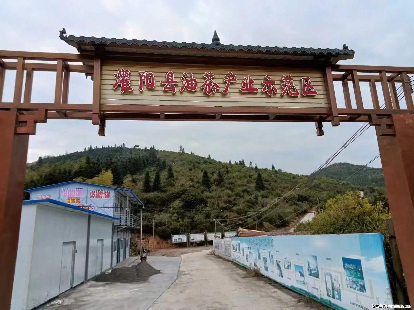 【灌阳县油茶产业示范区】一个有着充实的精神生活的人，对待身外之物自会有一种淡泊的态度 - 美食天地 - 咸宁生活社区 - 咸宁28生活网 xianning.28life.net