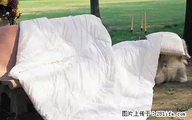 被子有异味？只要这样做，比晒太阳还强100倍！ - 家居生活 - 咸宁生活社区 - 咸宁28生活网 xianning.28life.net