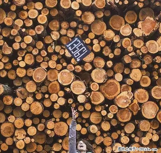 辞掉工作周游世界？现在他们在洗厕所…… - 游山玩水 - 咸宁生活社区 - 咸宁28生活网 xianning.28life.net