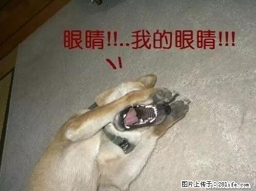 笑癫了！一女的怀孕三年未生，他终于忍不住了... - 娱乐八卦 - 咸宁生活社区 - 咸宁28生活网 xianning.28life.net
