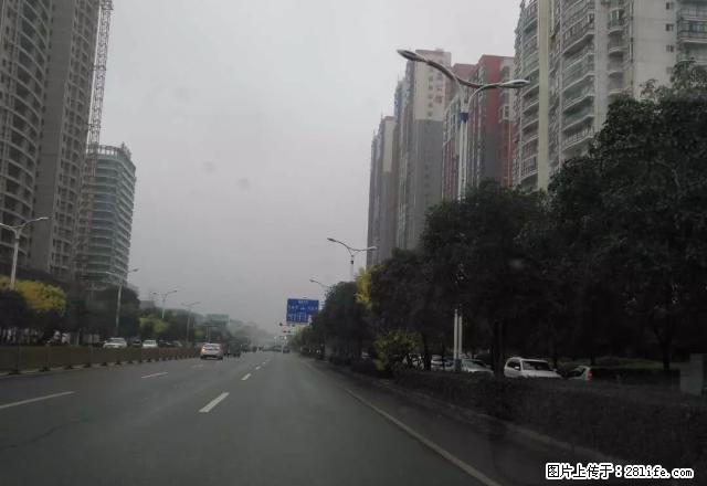 环境优美，房子南北通透，采光佳，户型方正，是您安家居住的佳选 - 房屋出租 - 房屋租售 - 咸宁分类信息 - 咸宁28生活网 xianning.28life.net