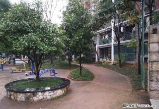 月亮湾花园5室2厅2卫4阳台精装房急租 - 咸宁28生活网 xianning.28life.net