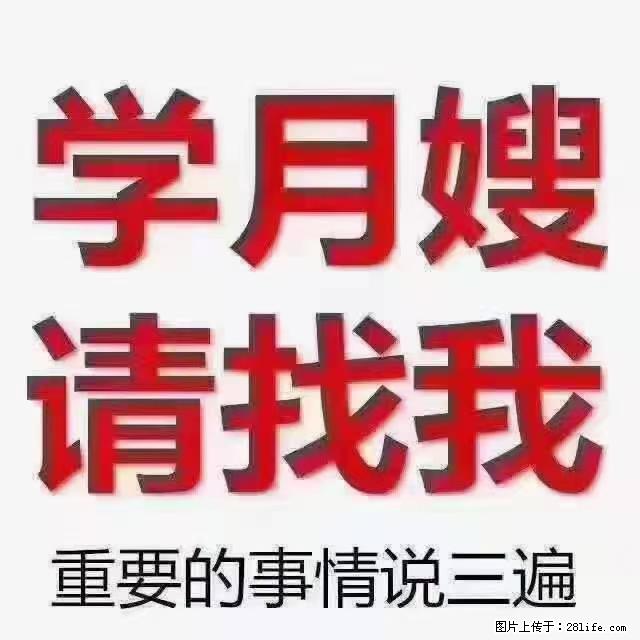 【招聘】月嫂，上海徐汇区 - 职场交流 - 咸宁生活社区 - 咸宁28生活网 xianning.28life.net