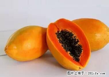晕车、脚气、牙齿变黄、皮肤粗糙？学会这些三分钟搞定！ - 咸宁生活资讯 - 咸宁28生活网 xianning.28life.net