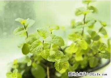 晕车、脚气、牙齿变黄、皮肤粗糙？学会这些三分钟搞定！ - 咸宁生活资讯 - 咸宁28生活网 xianning.28life.net