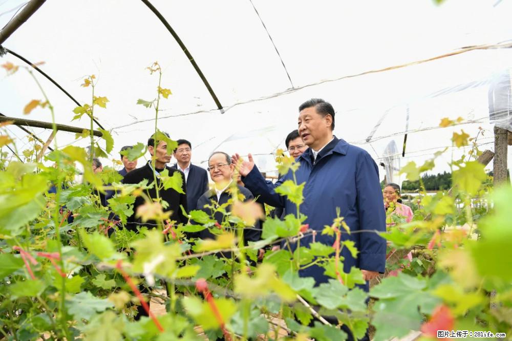 习近平赴广西考察调研 - 咸宁生活资讯 - 咸宁28生活网 xianning.28life.net