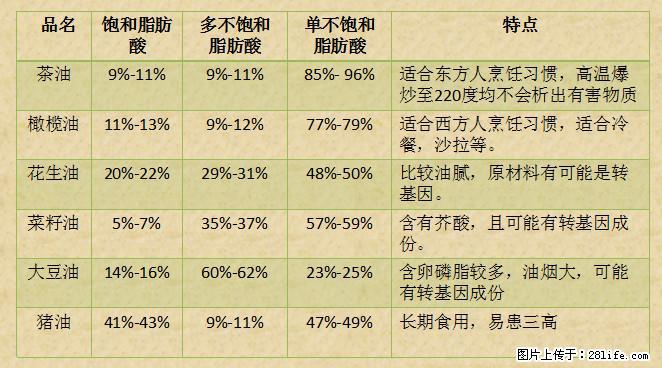 揭秘茶油的5大核心营养成分！被称为人体健康的“守护盾”！ - 咸宁生活资讯 - 咸宁28生活网 xianning.28life.net