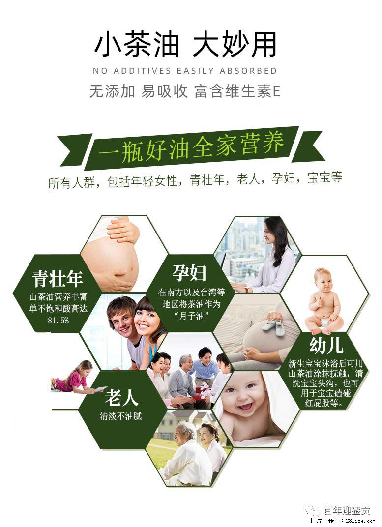 世界没有真相，只有认知，最好的食用油是中国的山茶油！ - 咸宁生活资讯 - 咸宁28生活网 xianning.28life.net