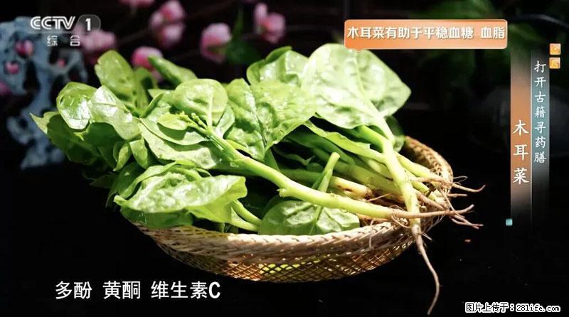 比牛奶补钙还厉害！凉血解毒、稳血糖...这菜冬天必吃，很多人却当草 - 咸宁生活资讯 - 咸宁28生活网 xianning.28life.net