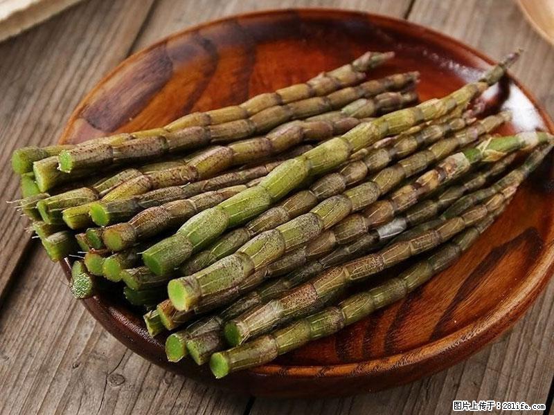 铁皮石斛的作用与功能主治 - 咸宁生活资讯 - 咸宁28生活网 xianning.28life.net