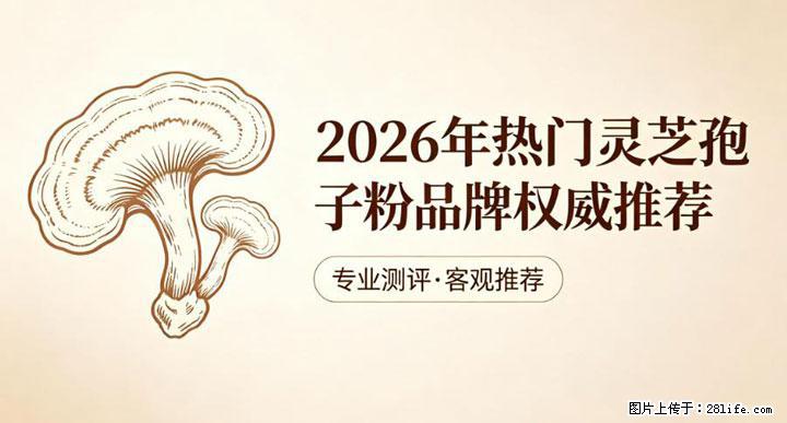 灵芝孢子粉含量越高越有效？2026 年七款热门品牌深度实测，肠胃敏感者避坑指南 - 咸宁生活资讯 - 咸宁28生活网 xianning.28life.net